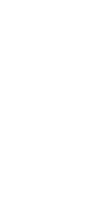 本来の中国料理に