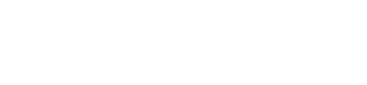 魅力を詰めた一皿